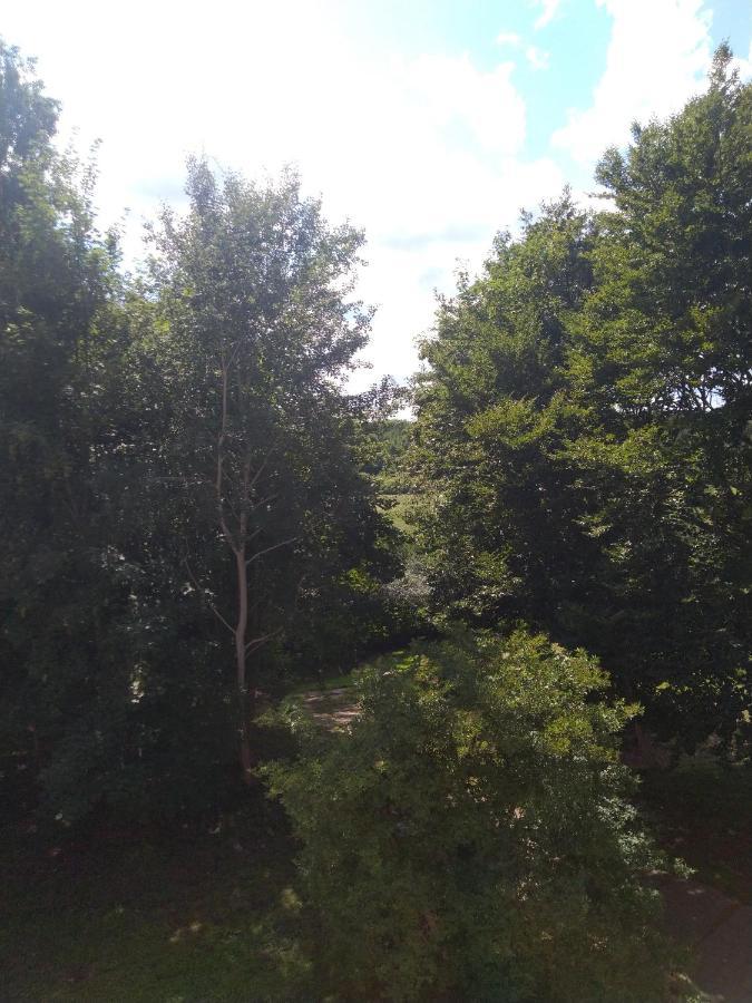 Apartment Wakacyjne Mieszkanie *